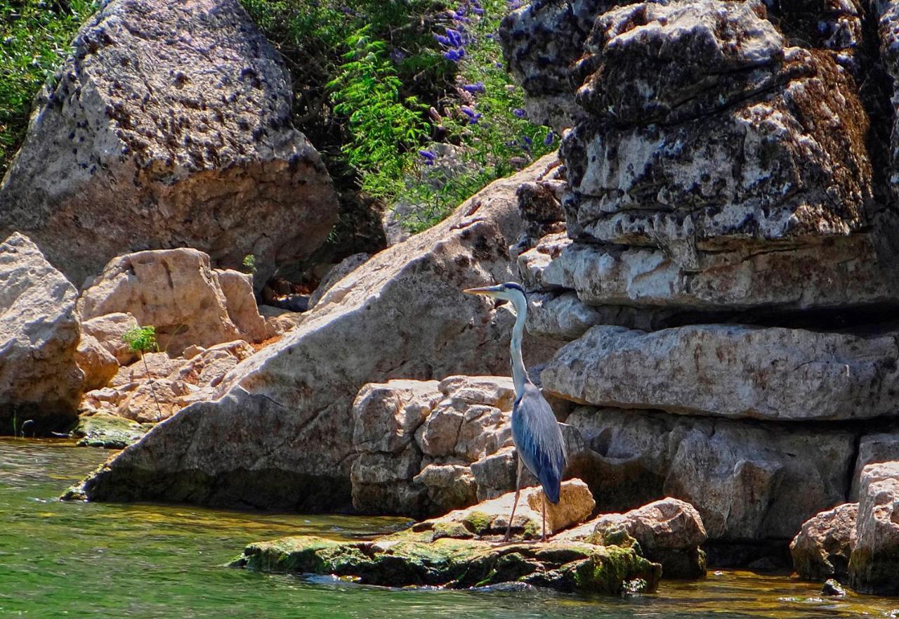 Holiday Home Rijeka Crnojevića エクステリア 写真