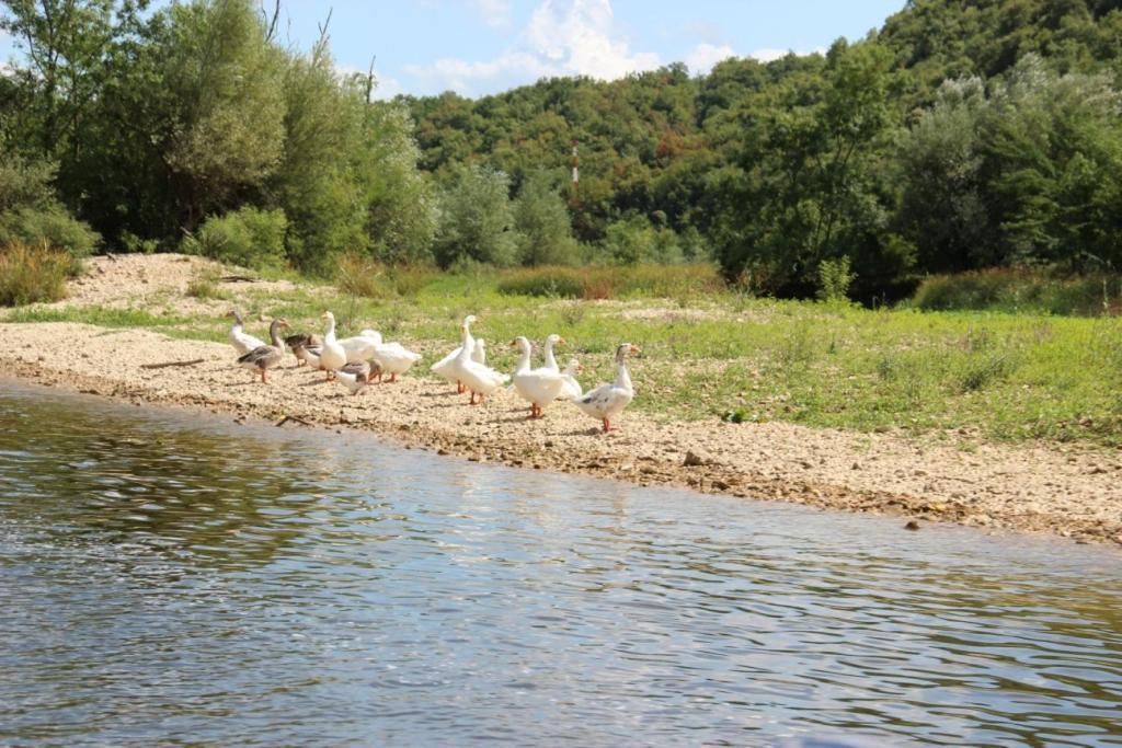 Holiday Home Rijeka Crnojevića エクステリア 写真